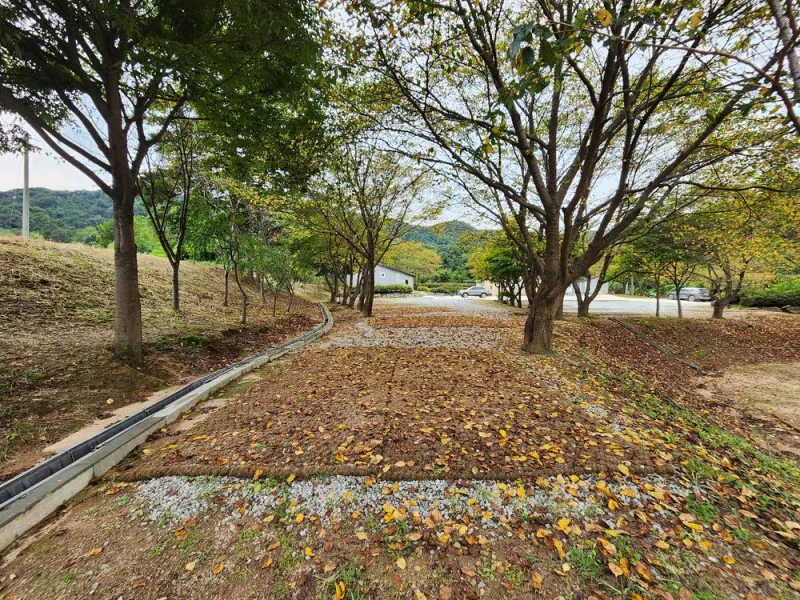 용인반딧불캠핑장 7