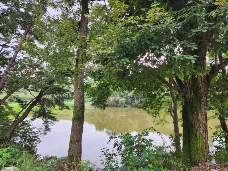 용인반딧불캠핑장 6