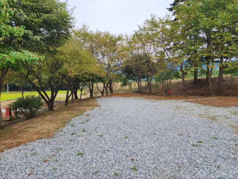 용인반딧불캠핑장 2