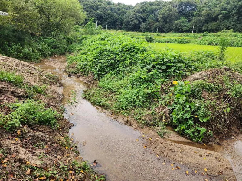 용인반딧불캠핑장 5