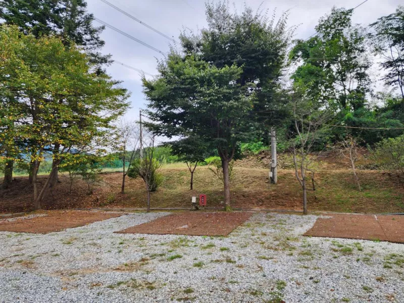 용인반딧불캠핑장 3