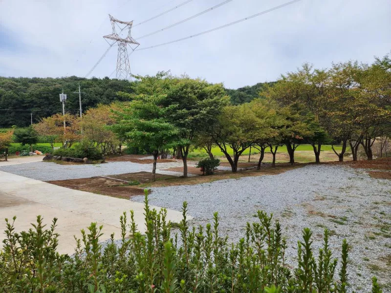 용인반딧불캠핑장 10