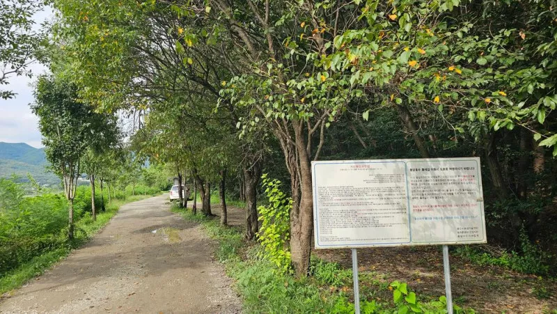 숲속에안뜰 캠핑장 4