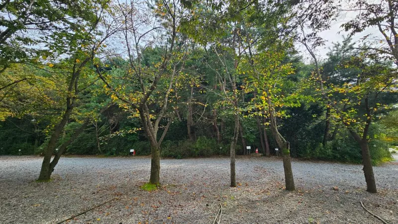 숲속에안뜰 캠핑장 7