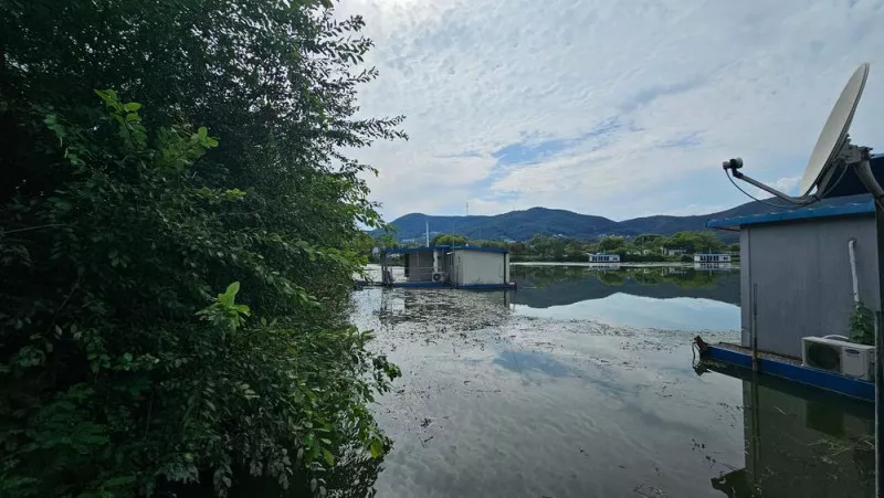 숲속에안뜰 캠핑장 6