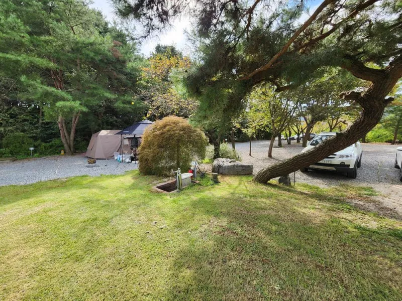 숲속에안뜰 캠핑장 10