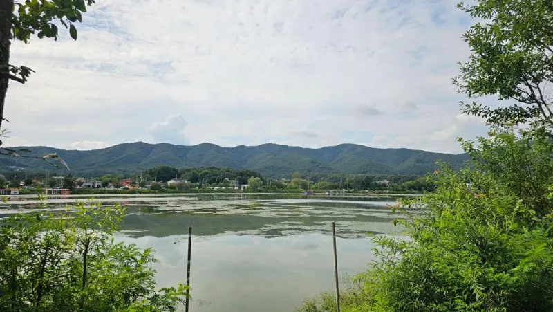 숲속에안뜰 캠핑장 3