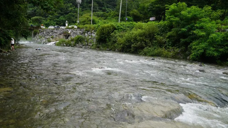 물소리 캠핑장 11