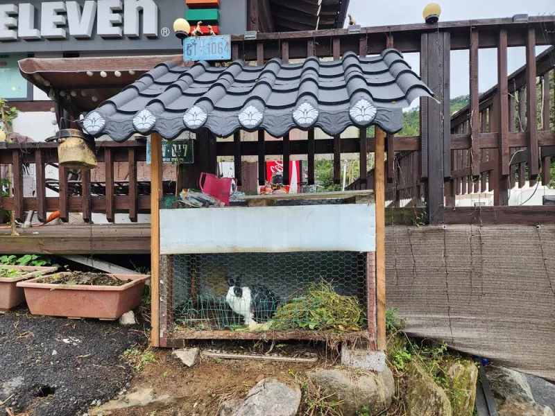 양평카라반파파 3