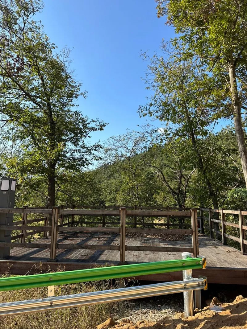 의성단밀숲속야영장 7