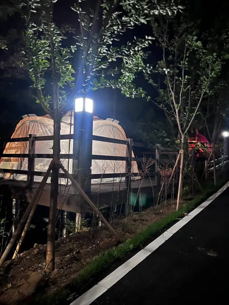 의성단밀숲속야영장 5