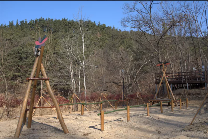 의성단밀숲속야영장 10