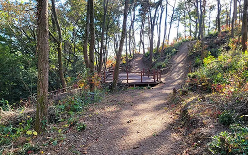 장흥군 수문랜드 블루투어 6