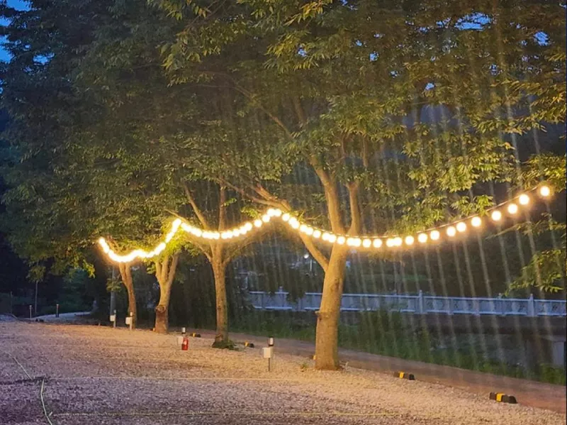 반딧불캠핑장 11