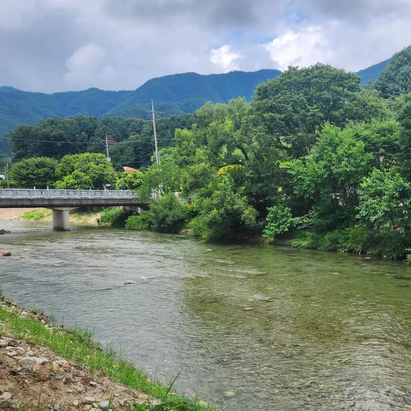 반딧불캠핑장 10