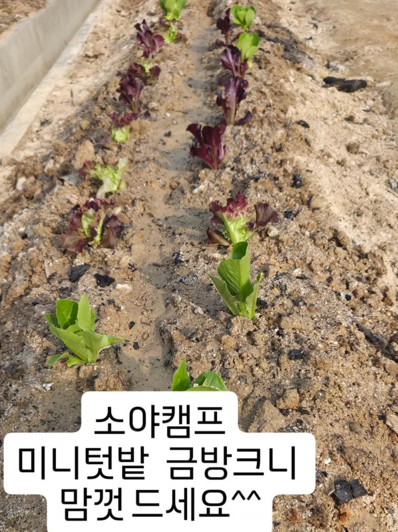 소야캠프 9