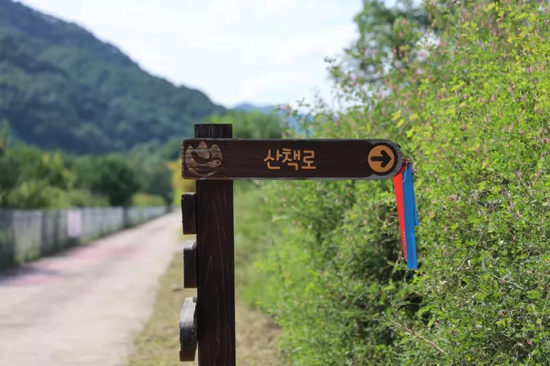 한계령 힐링 캠핑장 4