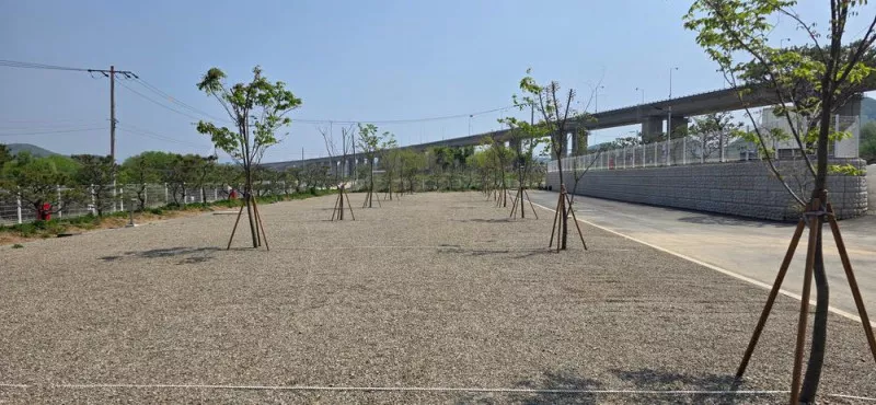 마루벌캠핑장 6
