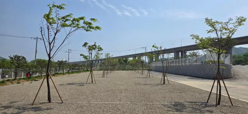 마루벌캠핑장 5